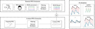 Evaluating RGB channels in remote photoplethysmography: a comparative study with contact-based PPG